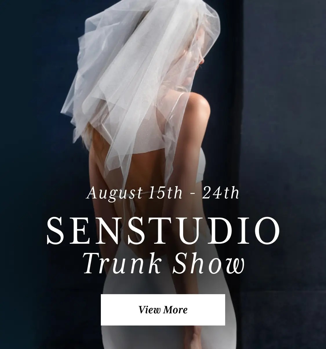 Senstudio Trunk Show Desktop